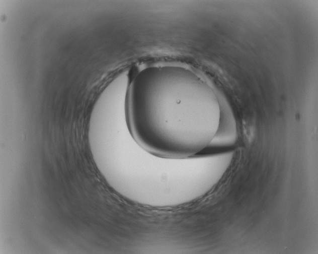 X0000085301157200703231851