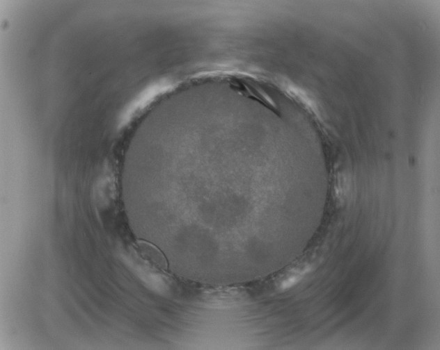 X0000085301159200703231851