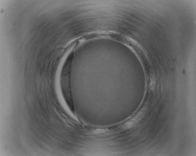 X0000085301161200703231851