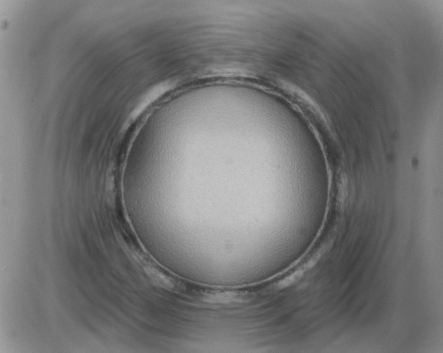 X0000085301162200703231851