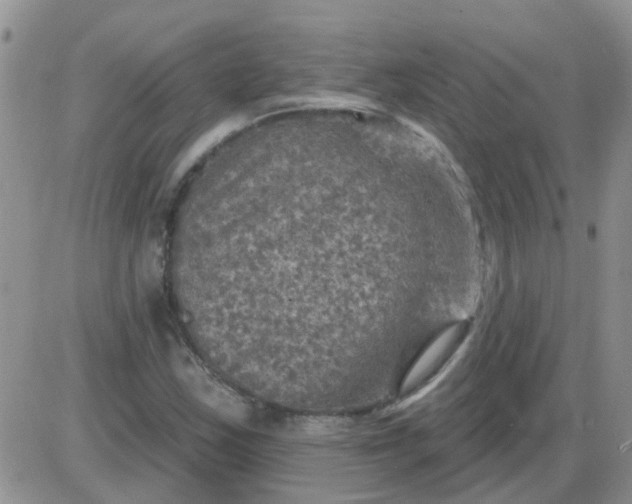 X0000085301163200703231851