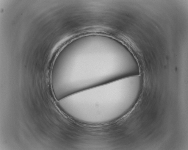 X0000085301164200703231851