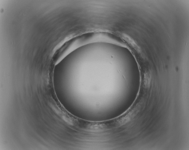 X0000085301165200703231851