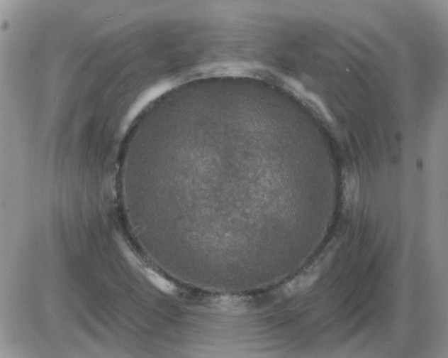 X0000085301166200703231851