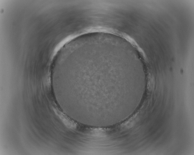 X0000085301167200703231851