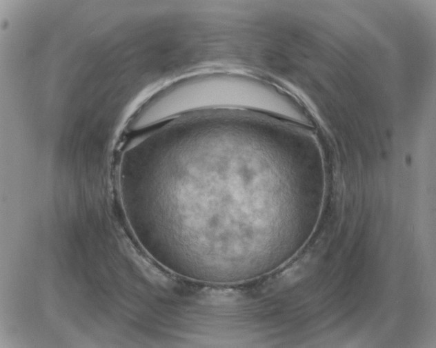 X0000085301168200703231851