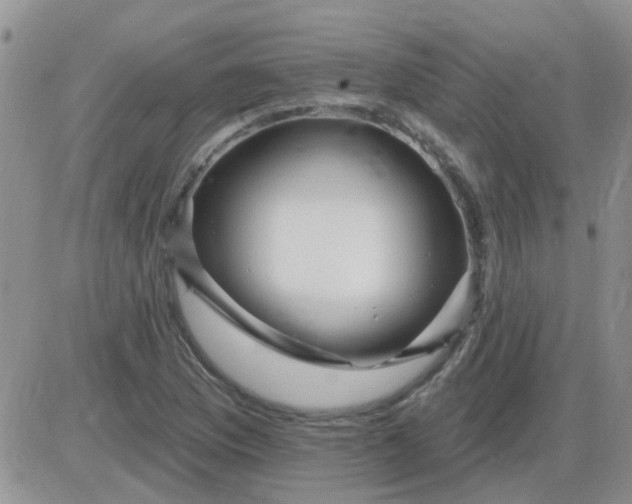 X0000085301169200703231851