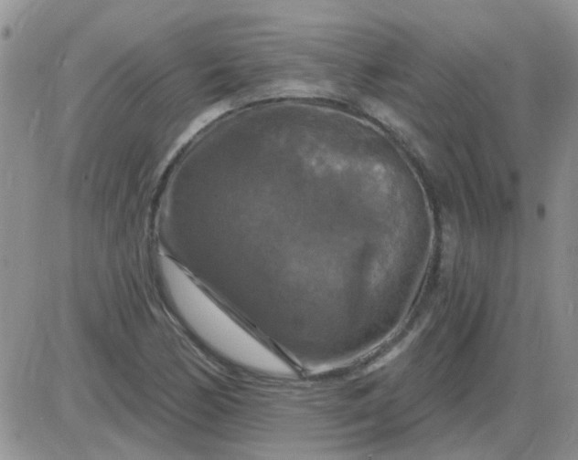 X0000085301170200703231851