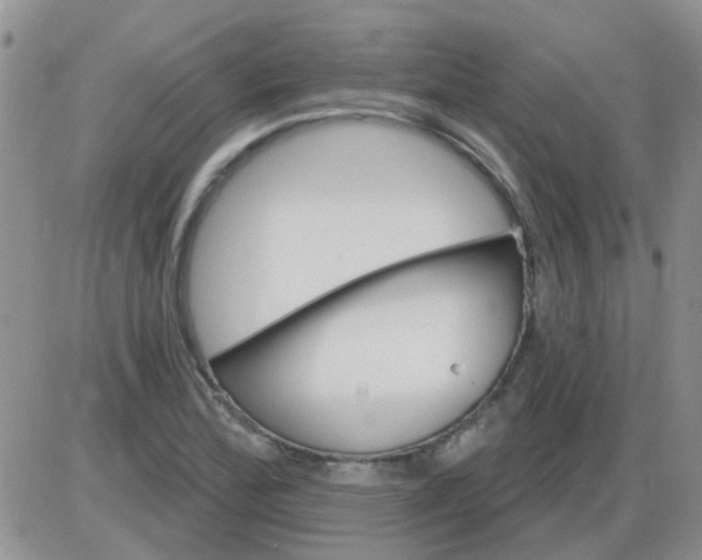 X0000085301172200703231851