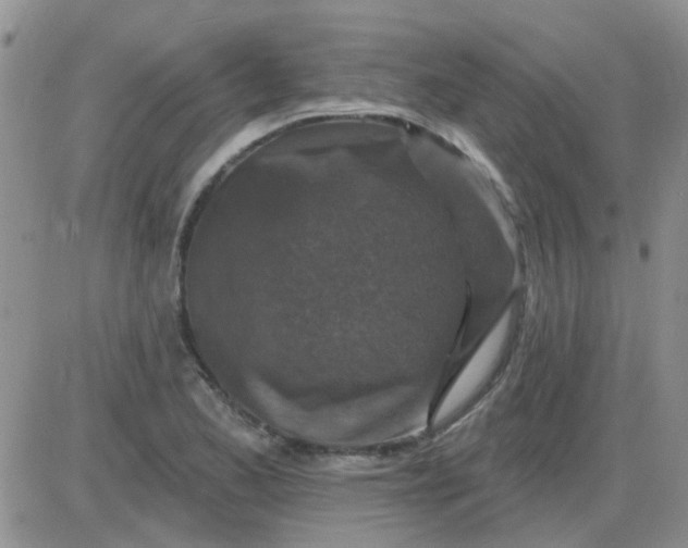 X0000085301173200703231851