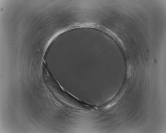 X0000085301174200703231851