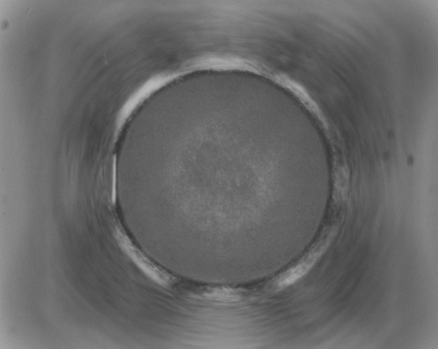 X0000085301175200703231851