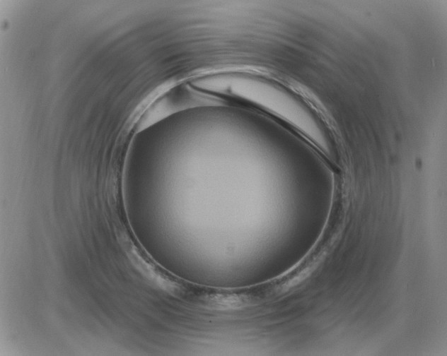 X0000085301177200703231850