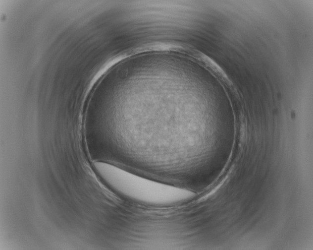 X0000085301178200703231850