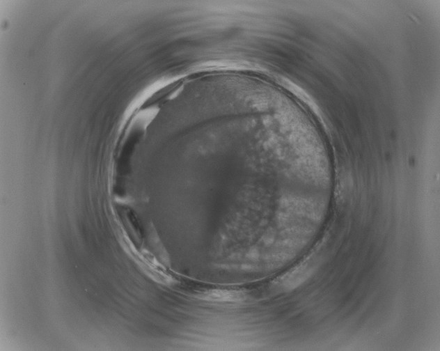 X0000085301179200703231850