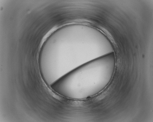 X0000085301180200703231850