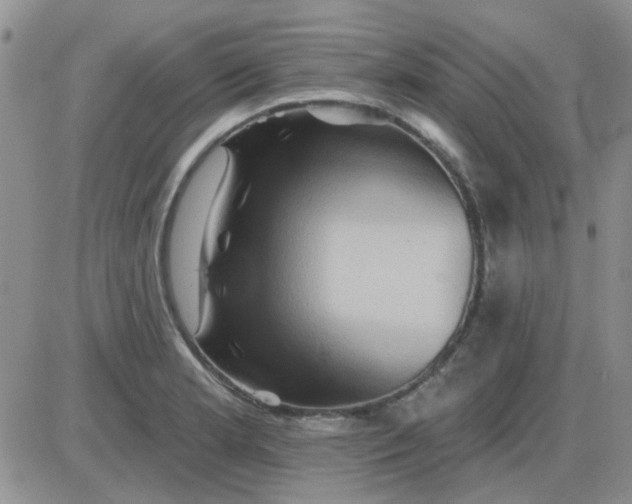 X0000085301181200703231850