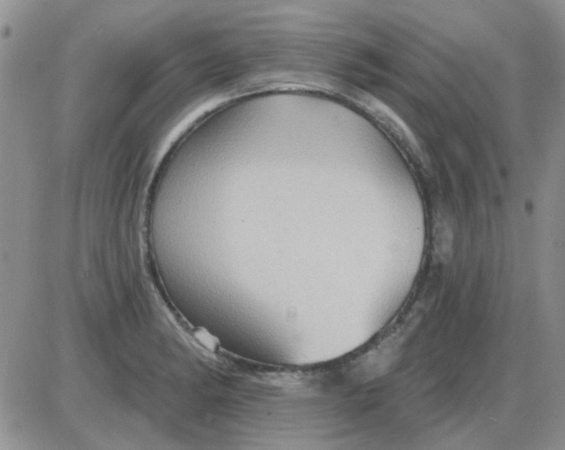 X0000085301182200703231850