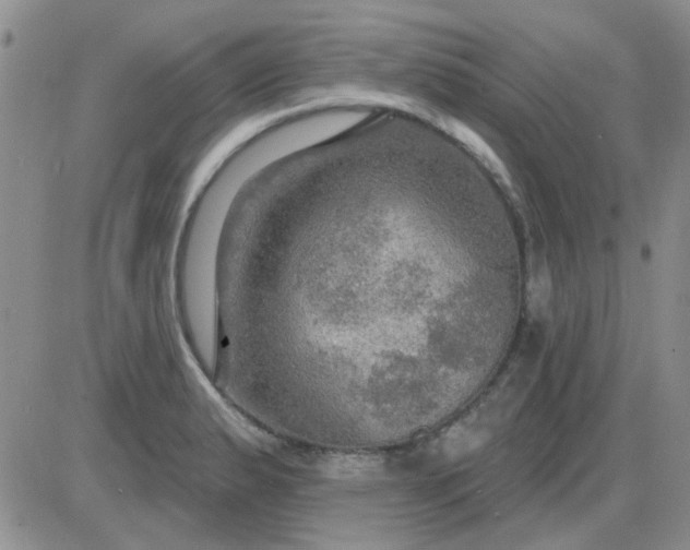 X0000085301183200703231850