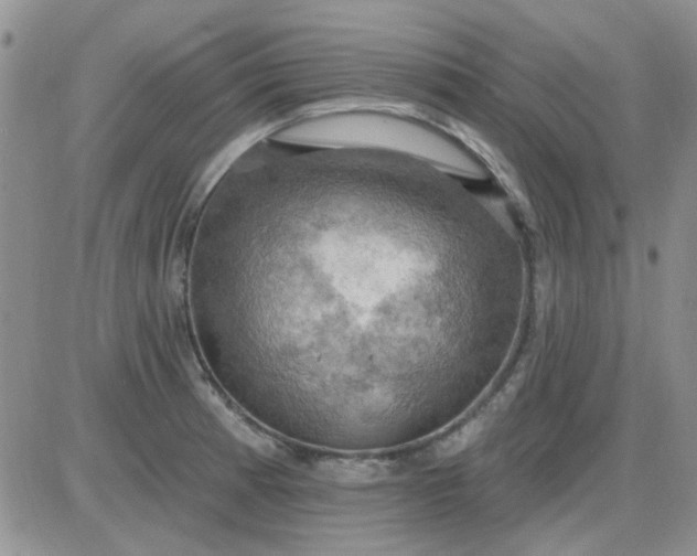 X0000085301185200703231850