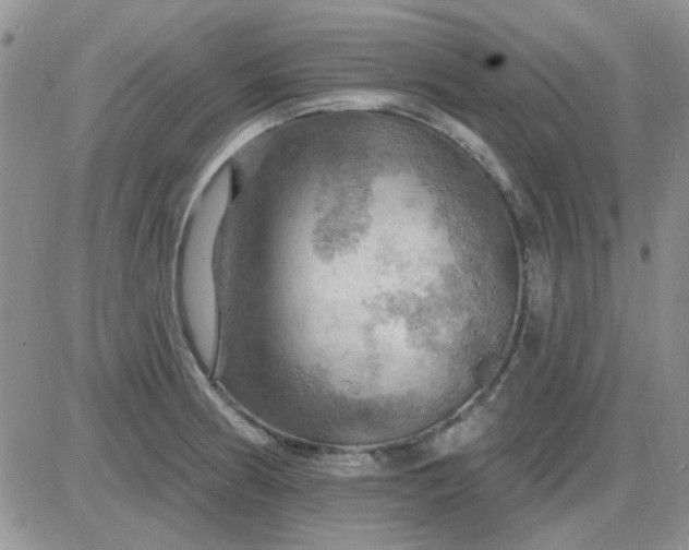 X0000085301186200703231850