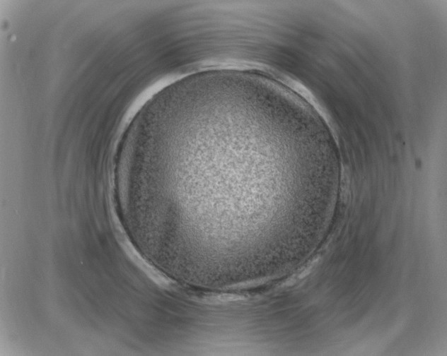 X0000085301187200703231850