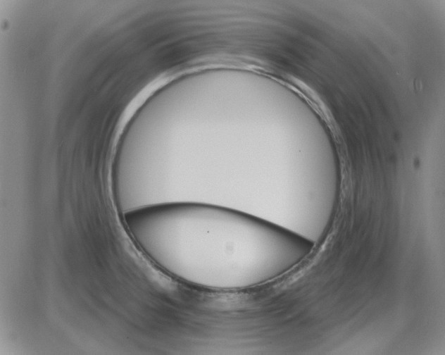 X0000085301188200703231850