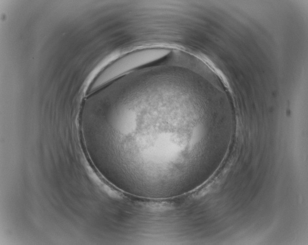 X0000085301189200703231850