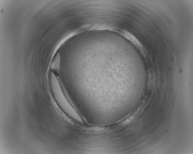 X0000085301190200703231850