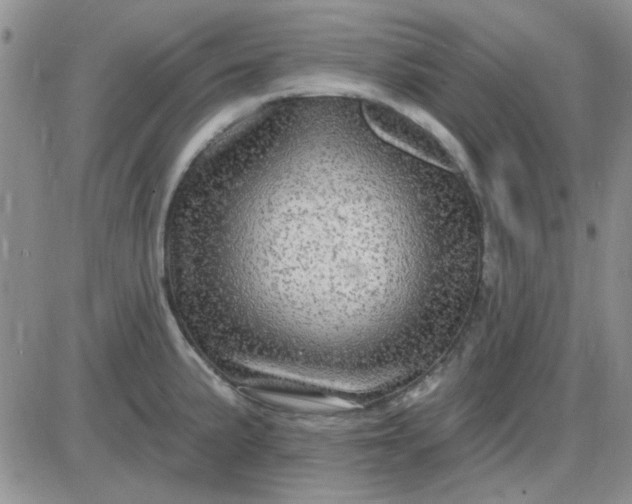 X0000085301191200703231850