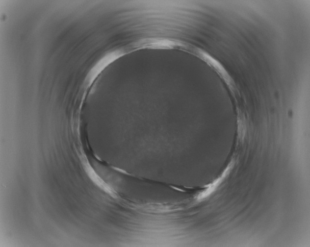 X0000085301194200703231850