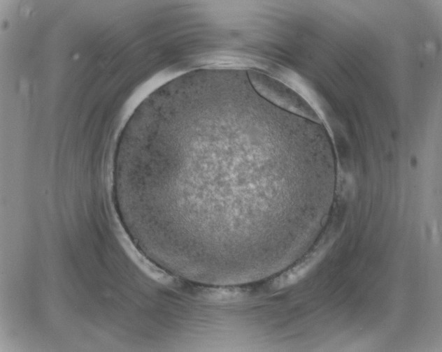 X0000085301195200703231850