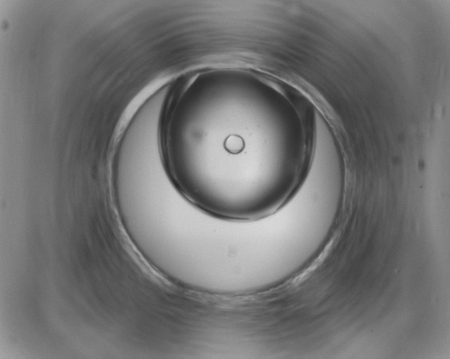 X0000085301196200703231850