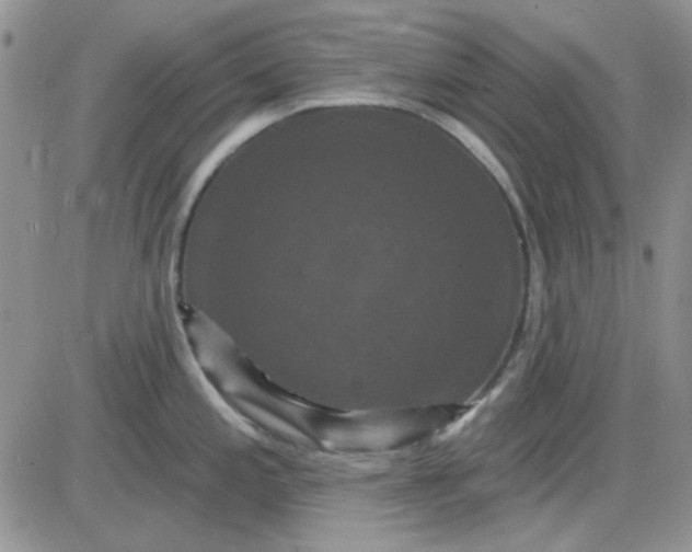 X0000085301197200703231850