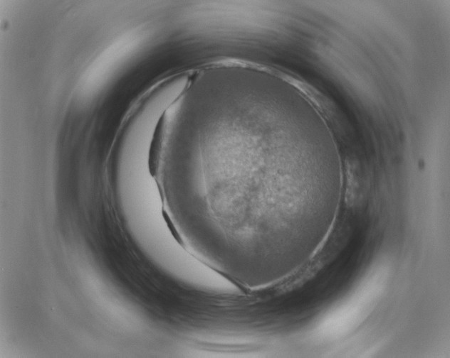 X0000085301198200703231850