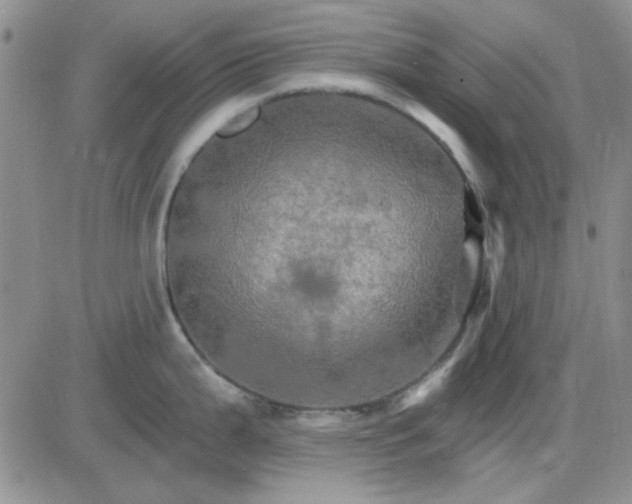 X0000085301199200703231850