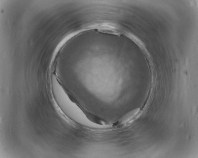 X0000085301200200703231850