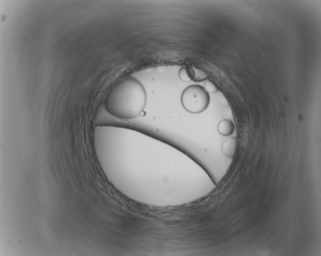 X0000085301201200703231849