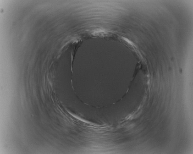 X0000085301202200703231849