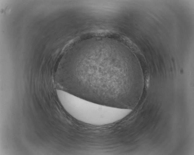 X0000085301204200703231849