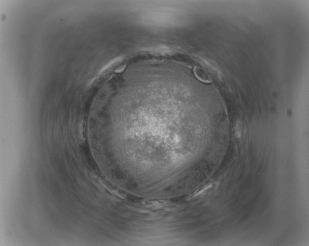 X0000085301205200703231849