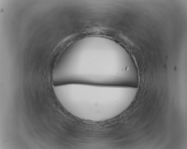 X0000085301206200703231849