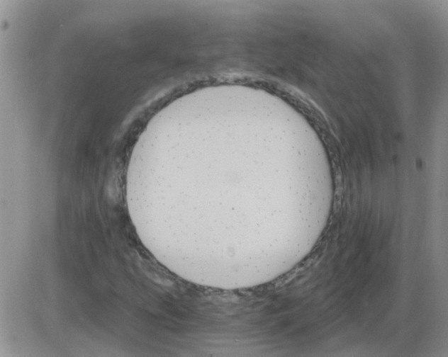 X0000085301207200703231849