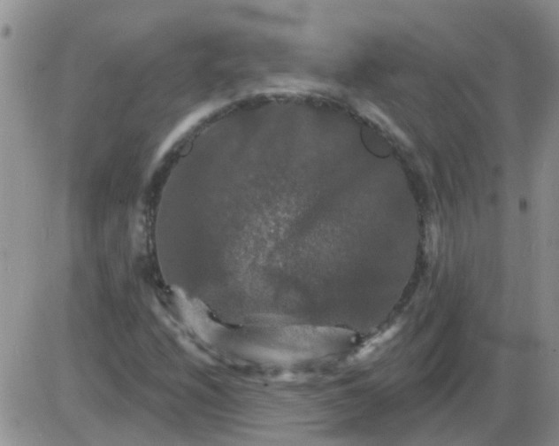 X0000085301208200703231849