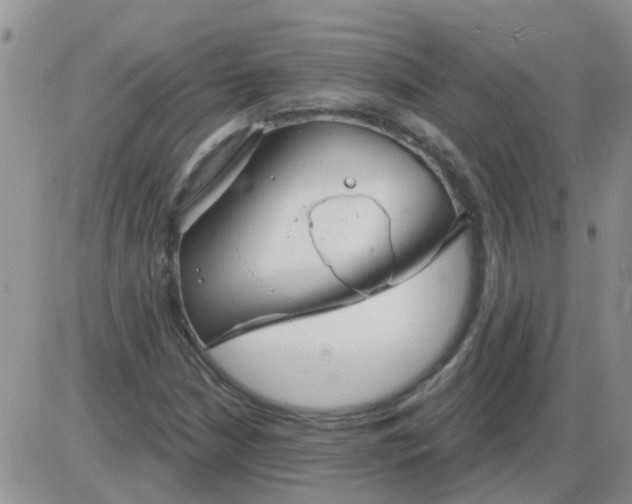 X0000085301210200703231849