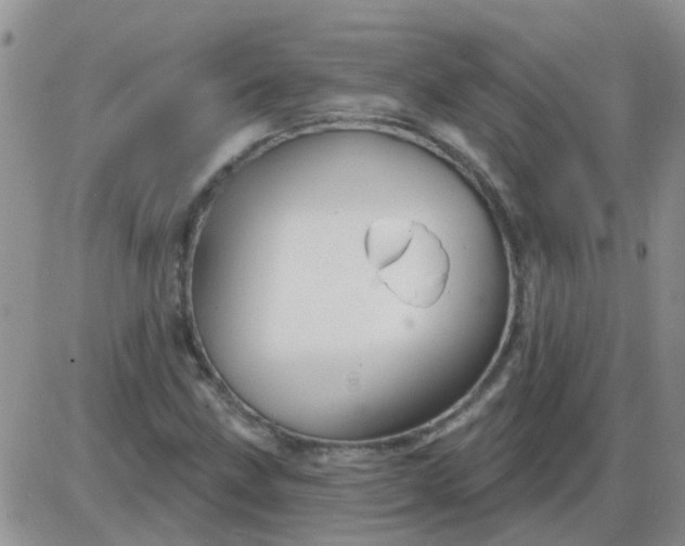 X0000085301211200703231849