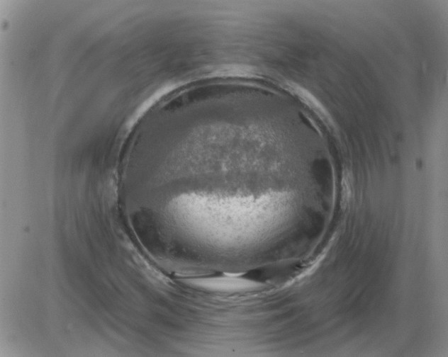 X0000085301212200703231849