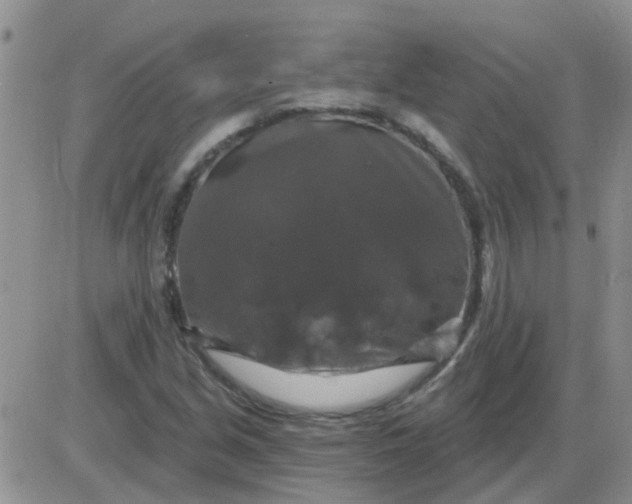 X0000085301213200703231849