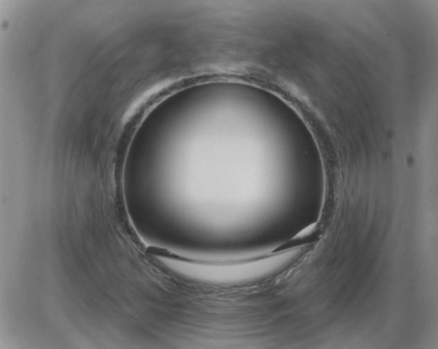 X0000085301214200703231850