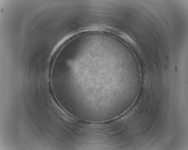 X0000085301216200703231850